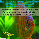 33 ème Bourse aux poissons à Haguenau (67), le dimanche 20 mars 2016