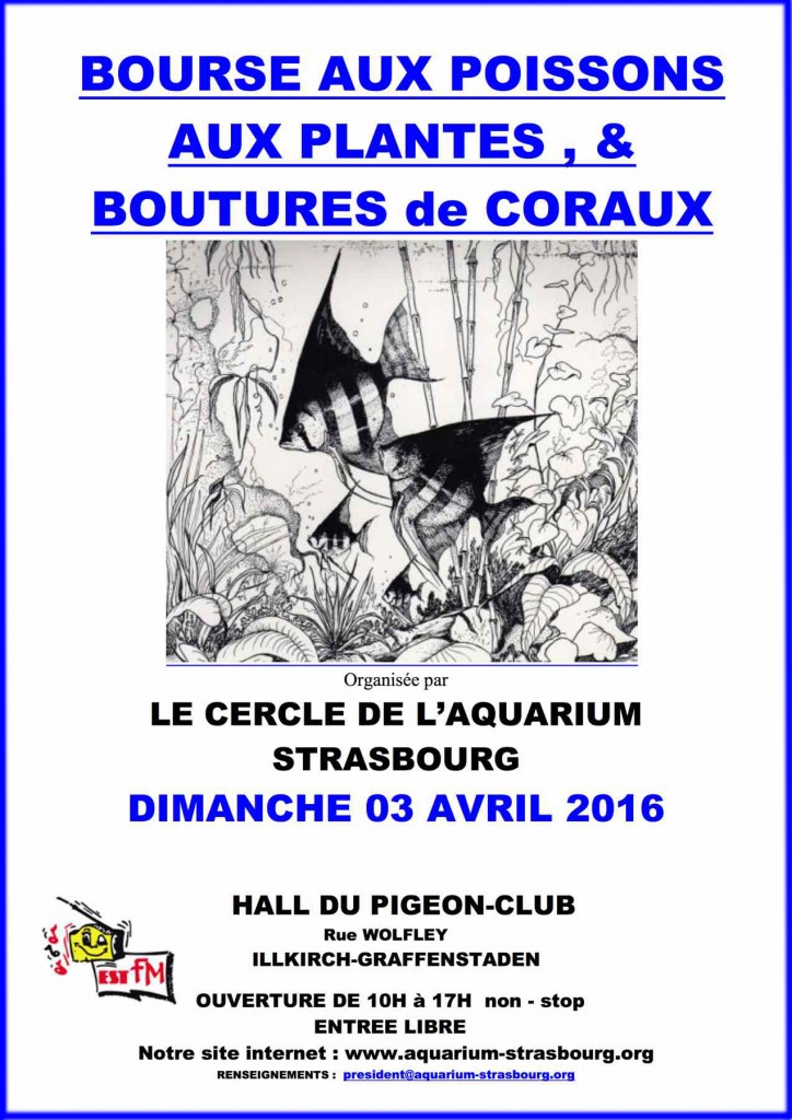 Bourse aux poissons, aux plantes et boutures de coraux à Illkirch (67), le dimanche 03 avril 2016