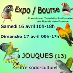 Expo-Bourse d'oiseaux à Jouques (13), du samedi 16 au dimanche 17 avril 2016