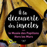 Exposition "À la découverte des insectes" à Saint Quentin (02), du 05 mars au 03 juillet 2016