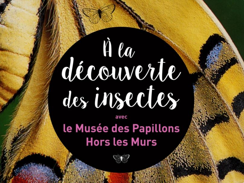 Exposition "À la découverte des insectes" à Saint Quentin (02), du 05 mars au 03 juillet 2016