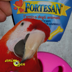 Jouet pour perroquet par détournement d'objet : balle perforée Fortesan (test, avis, prix)