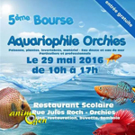 5 ème Bourse Aquariophile à Orchies (59), le dimanche 29 mai 2016