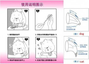 Accessoire : les faux ongles pour chats (Soft Claws)