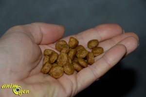 Alimentation : croquettes pour chien Hill's Ideal Balance sans céréales (test, avis, prix)