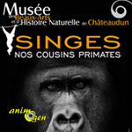 Exposition "Singes, nos cousins primates" à Châteaudun (28), du 14 mai 2016 au 02 janvier 2017