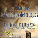 Exposition "Les Pharaons et les animaux désertiques" à Malley (Suisse), du 11 juin au 10 juillet 2016