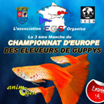 3 ème manche du Championnat d'Europe des éleveurs de Guppys à Etrechy (91), du samedi 09 au dimanche 10 juillet 2016