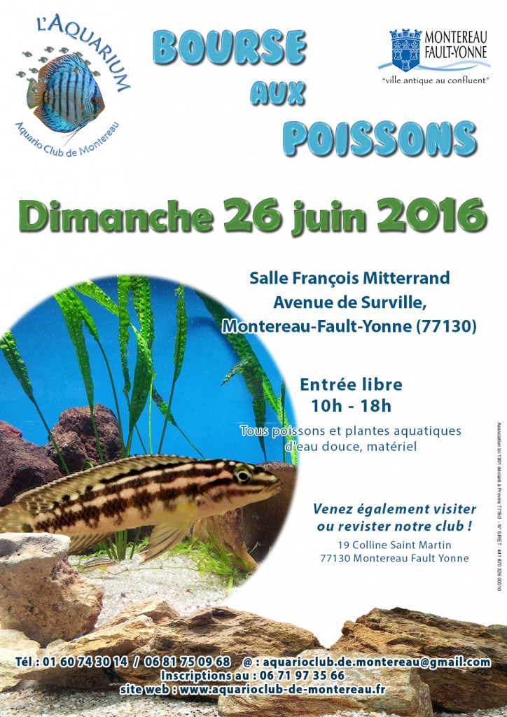 Bourse aux poissons à Montereau Fault Yonne (77), le dimanche 26 juin 2016
