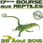 17 ème Bourse aux reptiles à Béthune (62), le dimanche 28 août 2016