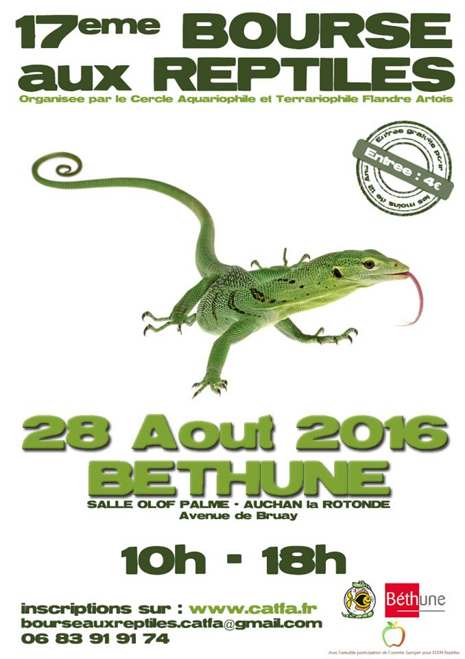 17 ème Bourse aux reptiles à Béthune (62), le dimanche 28 août 2016