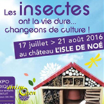 Exposition : Les insectes ont la vie dure,changeons de culture ! à L'Isle de Noé (32), du 17 juillet au 21 août 2016