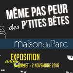 Exposition "Même pas peur des p'tites bêtes" à Montsoreau (49), du 1 er juillet au 02 novembre 2016