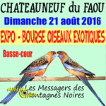 Expo-Bourse d'oiseaux exotiques à Châteauneuf du Faou (29), le dimanche 21 août 2016