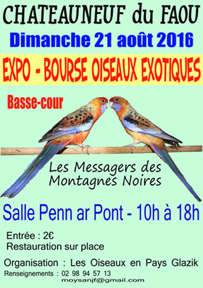 Expo-Bourse d'oiseaux exotiques à Châteauneuf du Faou (29), le dimanche 21 août 2016