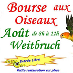 Bourse aux oiseaux à Weitbruch (67), le dimanche 28 août 2016