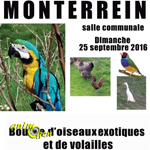 Bourse d'oiseaux exotiques et de volailles à Monterrein (56), le dimanche 25 septembre 2016