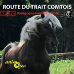Route du cheval de trait comtois à Marault (58), du vendredi 26 au dimanche 28 août 2016