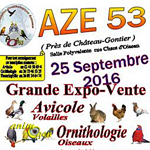 Grande expo-vente de volailles, oiseaux, reptiles à Azé (53), le dimanche 25 septembre 2016