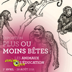 Exposition "Plus ou moins bêtes" à Rouen (76), du vendredi 1 er avril au dimanche 28 août 2016