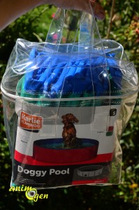 Accessoire pour chien et furet : piscine Doggy Pool de Karlie (test, avis, prix)