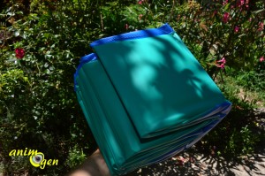 Accessoire pour chien et furet : piscine Doggy Pool de Karlie (test, avis, prix)