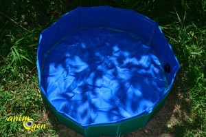 Accessoire pour chien et furet : piscine Doggy Pool de Karlie (test, avis, prix)