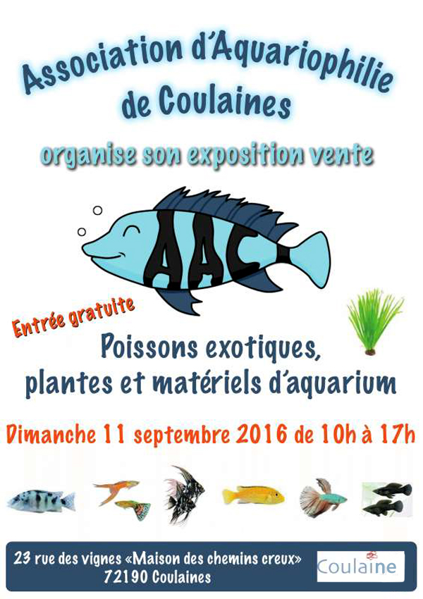Bourse aux Poissons à Coulaines (72), le dimanche 11 septembre 2016