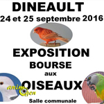 Exposition-Bourse aux oiseaux à Dinéault (29), du samedi 24 au dimanche 25 septembre 2016