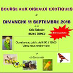 Bourse aux oiseaux exotiques à Ormes (45), le dimanche 11 septembre 2016