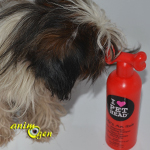 Shampoing Anti Itch de "I Love Pets Head" pour chiens (test, avis, prix)