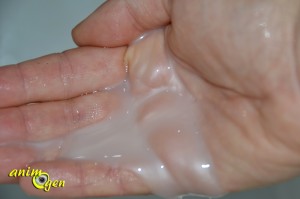 Shampoing Anti Itch de "I Love Pet Head" pour chiens (test, avis, prix)