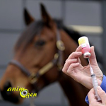 Santé : vaccins obligatoires et/ou recommandés pour les chevaux