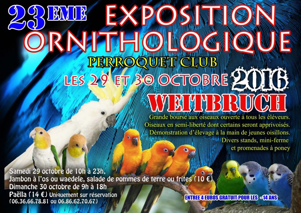 23 ème Expo/Bourse Perroquets à Weitbruch (67), du samedi 29 au dimanche 30 octobre 2014