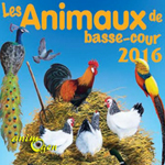 20 ème Exposition Internationale d’Animaux de basse-cour à Grasse (06), du vendredi 21 au dimanche 23 octobre 2016