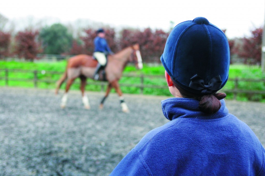 Ma première leçon d'équitation : la préparation du cheval et du cavalier