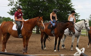 Première leçon d'équitation : l'arrivée dans le manège et le début du cours