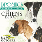 Exposition Internationale de Chiens de race à Orléans (45), du samedi 08 au dimanche 09 octobre 2016