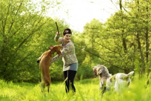 Devons-nous laisser sauter nos chiens pendant le jeu ?