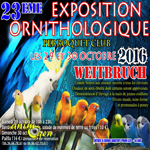 23 ème Expo/Bourse Perroquets à Weitbruch (67), du samedi 29 au dimanche 30 octobre 2014