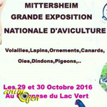 Grande Exposition Nationale d'Aviculture à Mittersheim (57), du samedi 29 au dimanche 30 octobre 2016