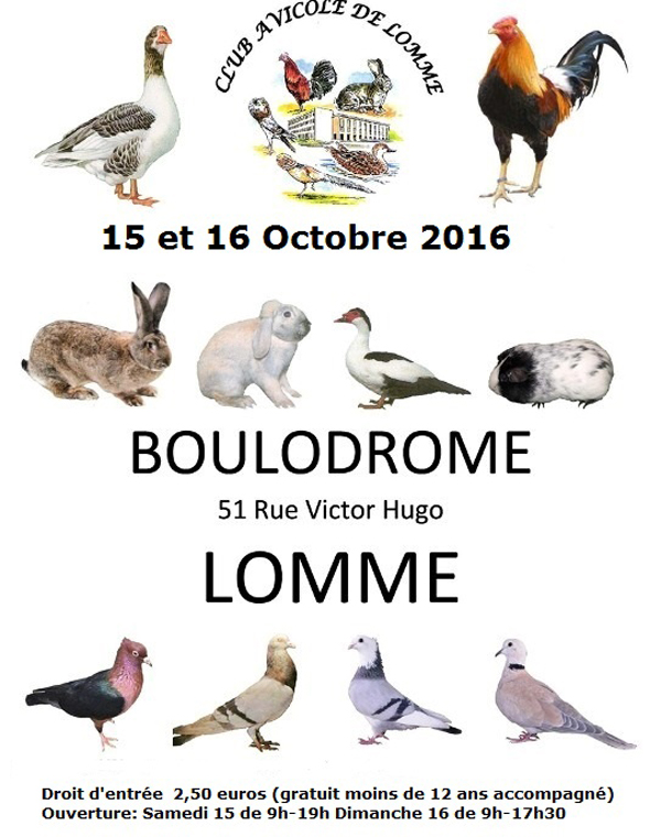 42 ème Exposition Nationale Avicole à Lomme (59), du samedi 15 au dimanche 16 octobre 2016