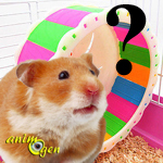La roue a-t-elle un effet bénéfique sur les hamsters ?
