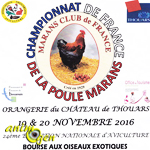 24 ème Exposition Nationale d'Aviculture et Bourse oiseaux exotiques à Thouars (79), du samedi 19 au dimanche 20 novembre 2016