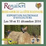 6 ème Exposition Nationale d'Aviculture à Renaison (42), du samedi 10 au dimanche 11 décembre 2016