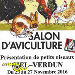 Ciel, 31 ème Salon d'aviculture à Verdun (71), du vendredi 25 au dimanche 27 novembre 2016