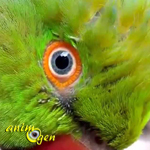 Perception et comportement : est-ce que votre perroquet vous déteste ?