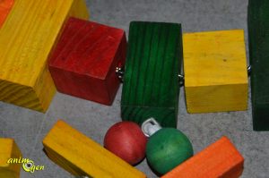 Jouet pour perroquet : le Winston Bridge II (test, avis, prix)