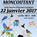 5 ème Bourse d’oiseaux exotiques, reptiles et rongeurs à Moncoutant (79), le dimanche 22 janvier 2017
