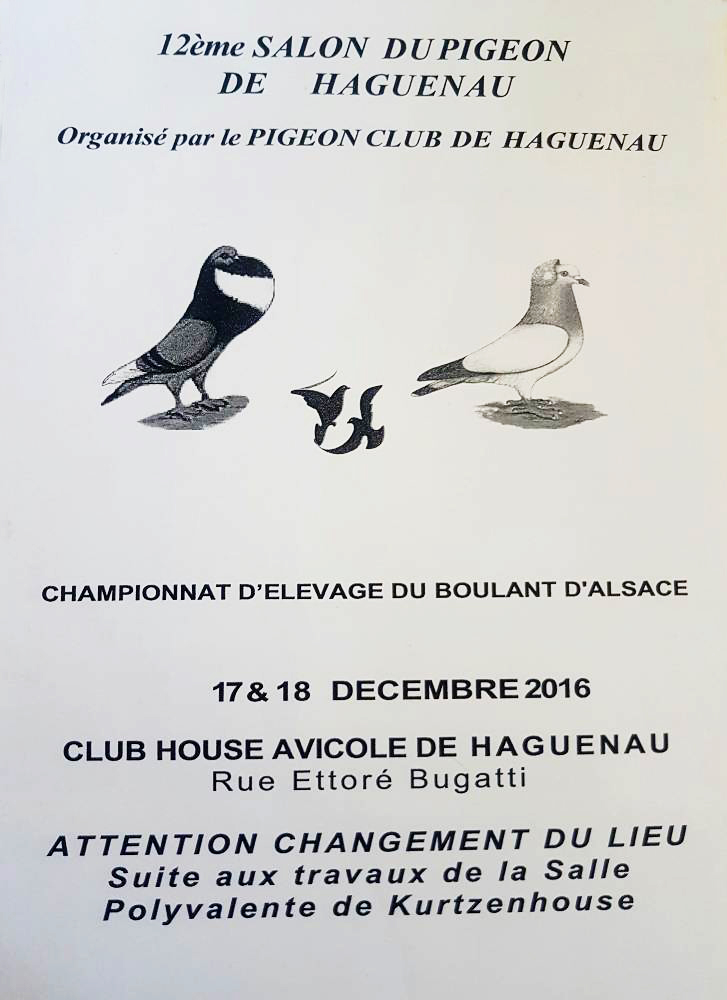 12 ème Salon du pigeon de Haguenau (67), du samedi 17 au dimanche 18 décembre 2016